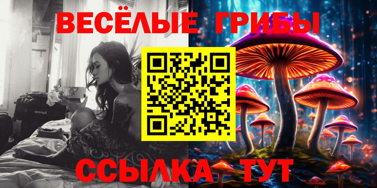 где найти наркотики  Вход с VPN  Галлюциногенные грибы прущие грибы  Химки  Галлюциногенные грибы Magic Shrooms 